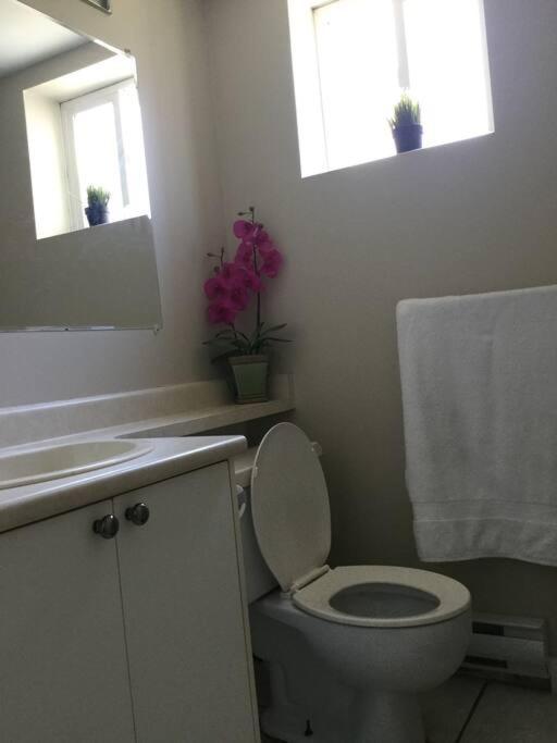 Cozy Suite Vancouver Bagian luar foto